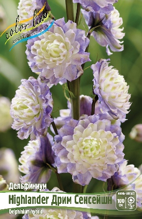 Дельфиниум Дрим Сенсейшн 1шт (КолЛайн)