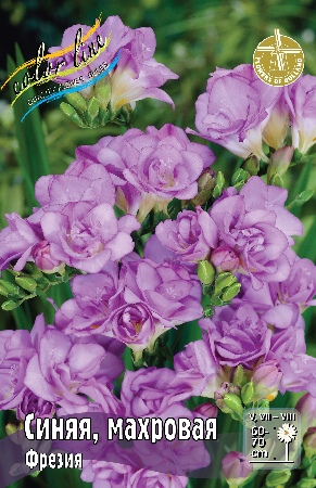 Фрезия Синяя махровая 1шт (Садовита) 10шт/уп
