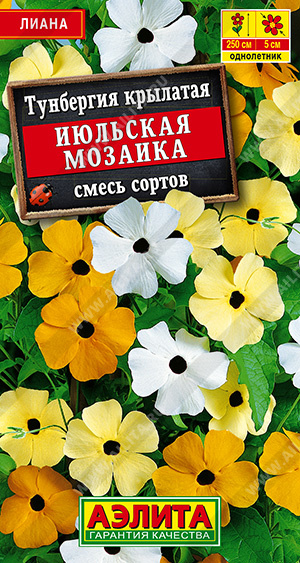 Тунбергия Июльская мозаика, смесь 0,3г ц/п (Аэлита) 2м 