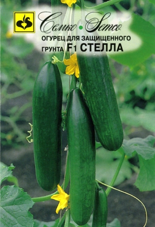 Огурец Стелла F1 5шт (Семко) раннеспелый