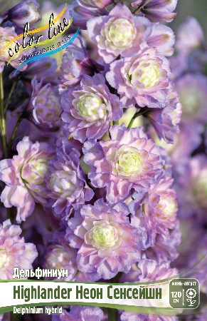 Дельфиниум Неон Сенсейшн 1шт (КолЛайн)
