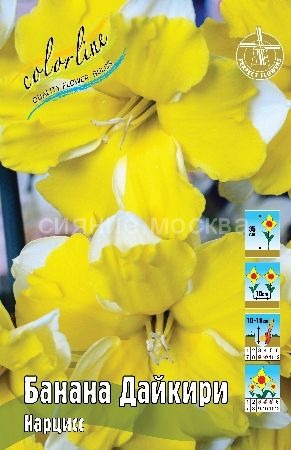 Нарцисс Банана Дайкири 1шт (КолЛайн) 5шт/уп
