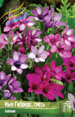 Бабиана Кью Гибридс смесь 1шт 5/+(КолЛайн) 10шт/уп