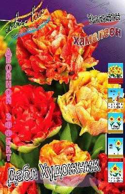 Тюльпан Дабл Художник 1шт (КолЛайн) 8шт/уп