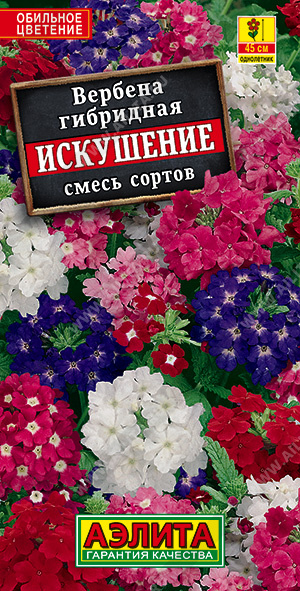 Вербена Искушение, смесь 40шт ц/п *(Аэлита)  
