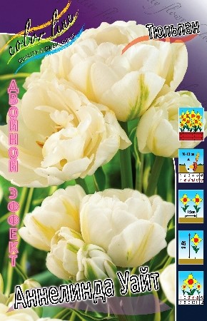 Тюльпан Аннелинда Уайт 1шт (КолЛайн) 7шт/уп