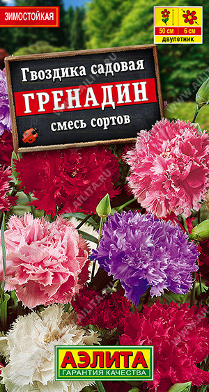 Гвоздика садовая Гренадин, смесь окрасок 0,05г ц/п (Аэлита)
