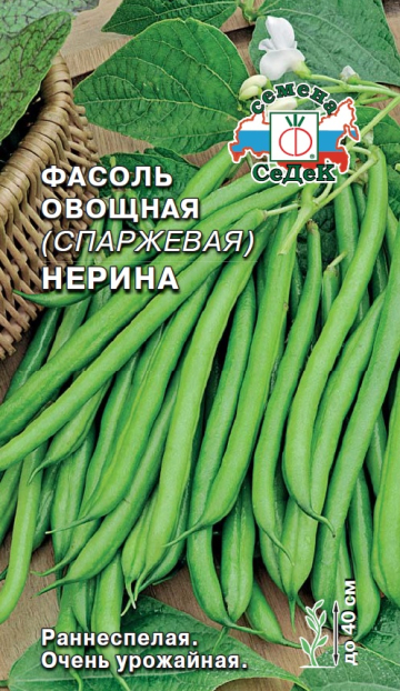 Фасоль Нерина 5г (Седек) спаржевая скороспелая, куст до 40см,темно-зеленые
