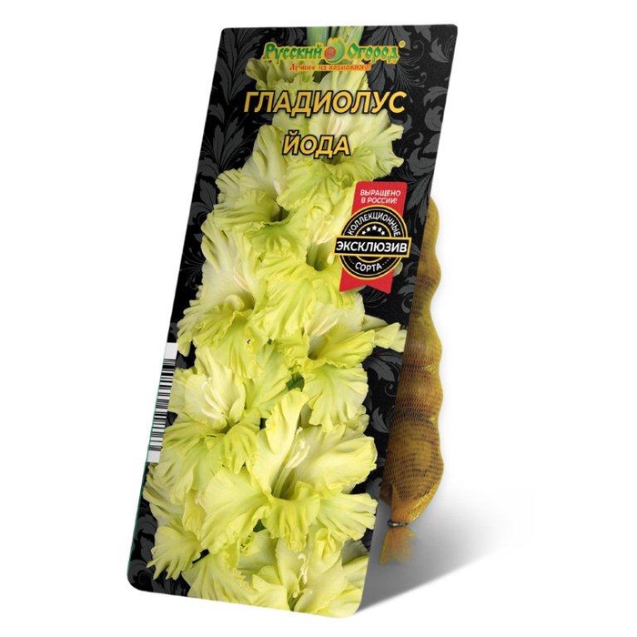 Гладиолус Йода 10/12 1шт (НК) 5шт/уп