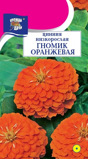 Цинния Гномик оранжевая 0,1г ц/п (УУ)