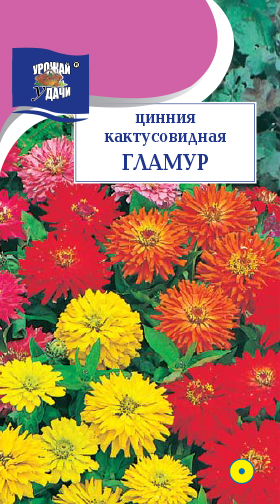 Цинния Гламур, смесь 0,3г ц/п (УУ) кактусовидная
