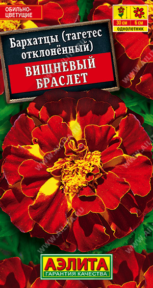 Бархатцы Вишневый браслет 0,3г ц/п (Аэлита) 25см/6см