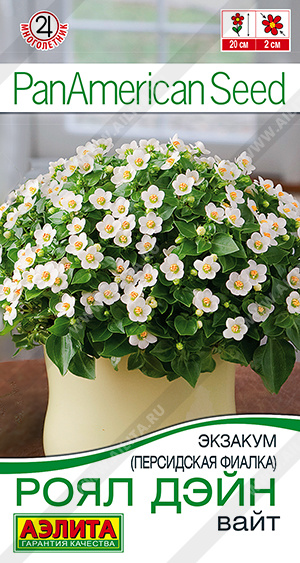 Экзакум (Персидская фиалка) Роял дэйн вайт 4шт ц/п (Аэлита)