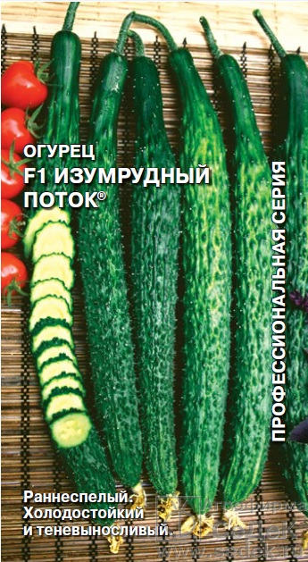 Огурец Изумрудный поток F1 0,2г ц/п (Седек) ранний,30-50см,партеник,теневын.ранн.