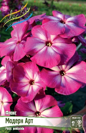 Флокс Модерн Арт 1шт (КолЛайн) 2шт/уп