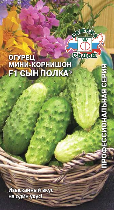 Огурец Сын Полка F1 0,3г ц/п (Седек)