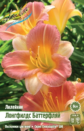 Лилейник Лонгфилдс Баттерфляй 1шт (КолЛайн)