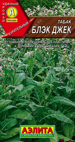 Табак курительный Блэк Джек ц/п (Аэлита)