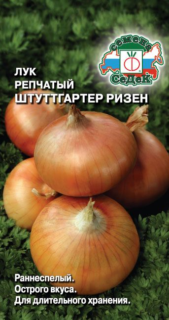 Лук Штуттгартер Ризен 1г б/п (Седек)