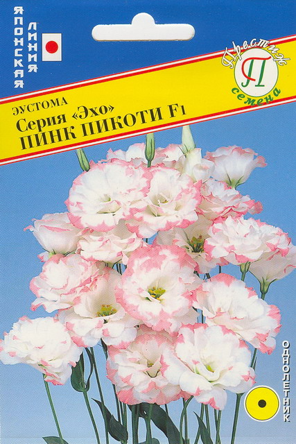 Эустома Эхо Пинк Пикоти F1 10шт (Престиж)