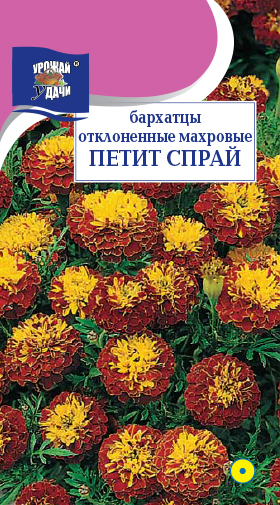 Бархатцы Петит Спрай 0,3г ц/п (УУ)