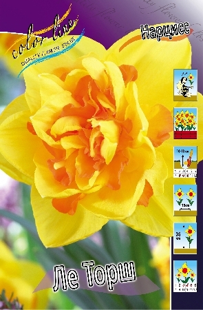 Нарцисс Ле Торш 1шт (КолЛайн) 5шт/уп