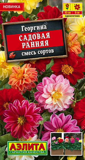 Георгина Садовая ранняя, смесь сортов 0,3г ц/п (Аэлита)
