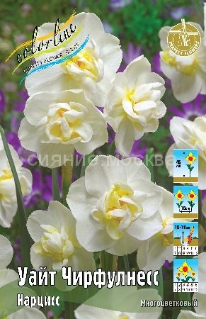 Нарцисс Уайт Чирфулнесс 1шт (КолЛайн) 2шт/уп