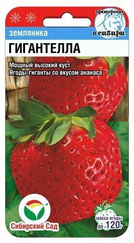 Земляника Гигантелла 10шт (СибСад) 