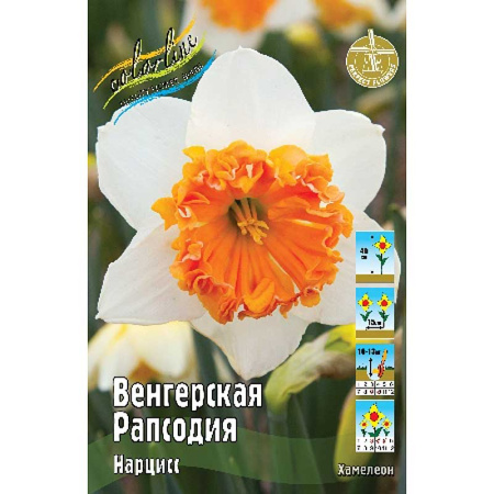 Нарцисс Венгерская Рапсодия 12/14 1шт (КолЛайн) 3шт/уп