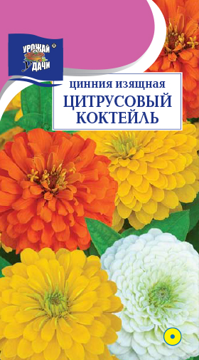 Цинния Цитрусовый коктейль, смесь 0,1г ц/п (УУ) 90см
