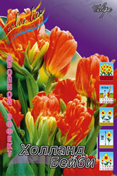 Тюльпан Холланд Бейби 1шт (КолЛайн) 10шт/уп