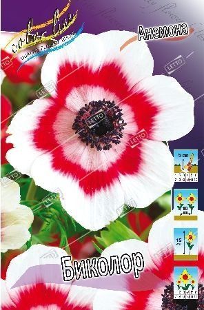 Анемона Биколор 5/6 1шт (КолЛайн) 10шт/уп