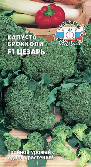 Капуста брокколи Цезарь F1 0,3г б/п (Седек) 