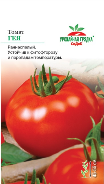 Томат Гея 0,2г ц/п (Седек) скороспелый, детерминантный,130-150г