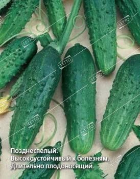 Огурец Феникс 640 1кг (ПрСидс)