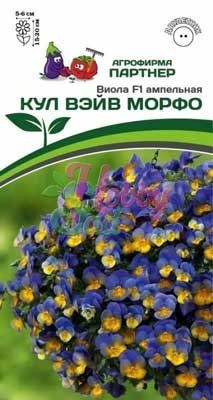 Виола Кул Вэйв Морфо F1 ампельная 5шт (Партнер)