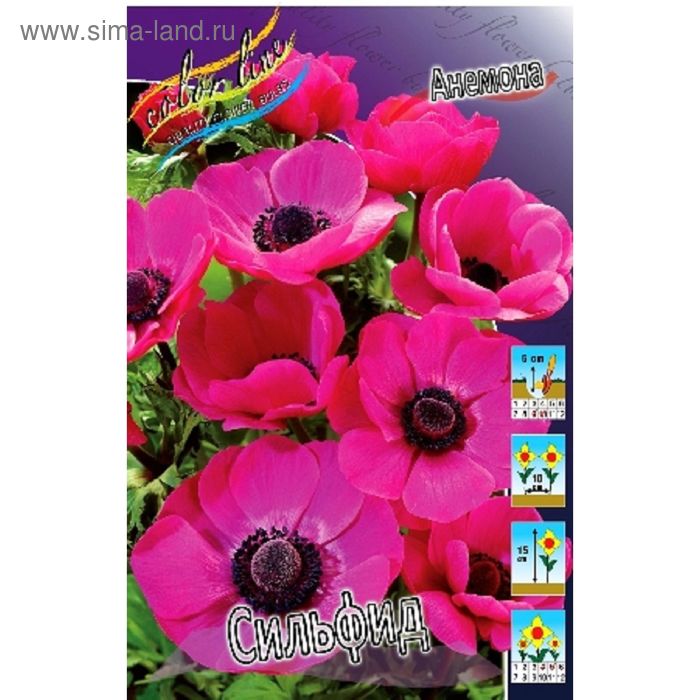 Анемона Сильфид 5/6 1шт (КолЛайн) 10шт/уп