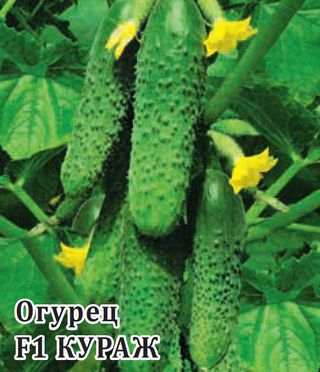 Огурец Кураж F1 100шт (Гавриш)