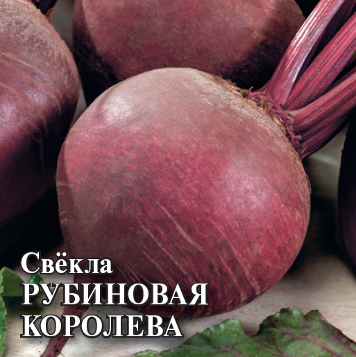 Свекла Рубиновая королева 25г (Гавриш)