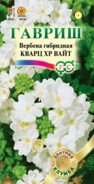 Вербена Кварц Вайт 5шт (Гавриш)