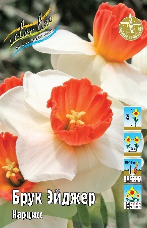 Нарцисс Брук Эйджер 12/14 1шт (КолЛайн) 5шт/уп