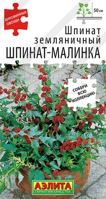 Шпинат земляничный Шпинат-малинка 0,05г ц/п (Аэлита)