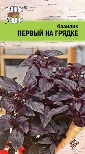Базилик Первый на грядке 0,2г ц/п (УУ)