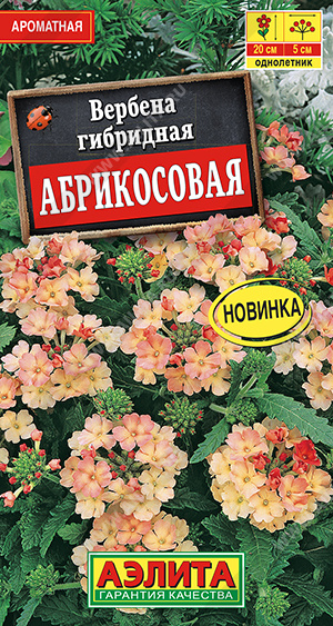 Вербена Абрикосовая 10шт ц/п (Аэлита) Новинка