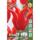 Тюльпан Аладдин 1шт (КолЛайн) 7шт/уп