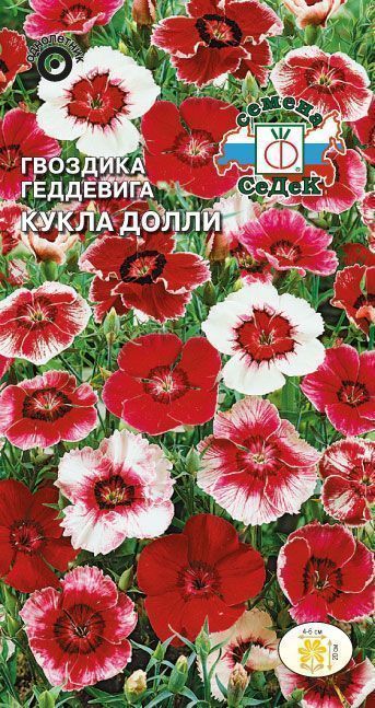 Гвоздика геддевика Кукла Долли, смесь 0,5г ц/п (Седек)