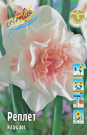 Нарцисс Реплет 10/12 1шт (КолЛайн) 2шт/уп 