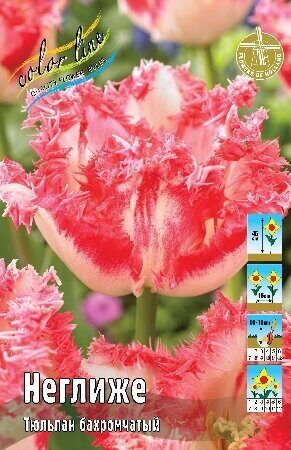 Тюльпан Неглиже 1шт (КолЛайн) 7шт/уп