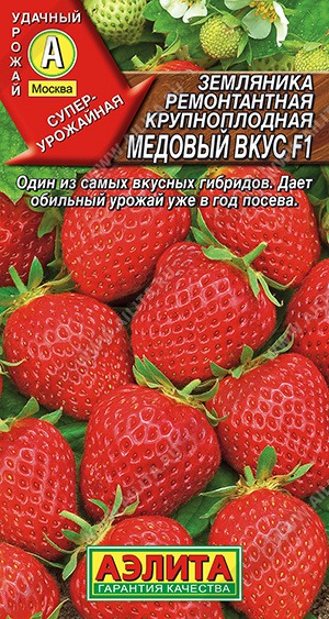 Земляника Медовый вкус F1 7шт ц/п (Аэлита) ремонтантная